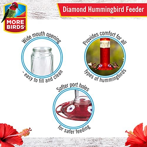 More Birds Bird Health + Diamond Hummingbird Feeder - Image 5